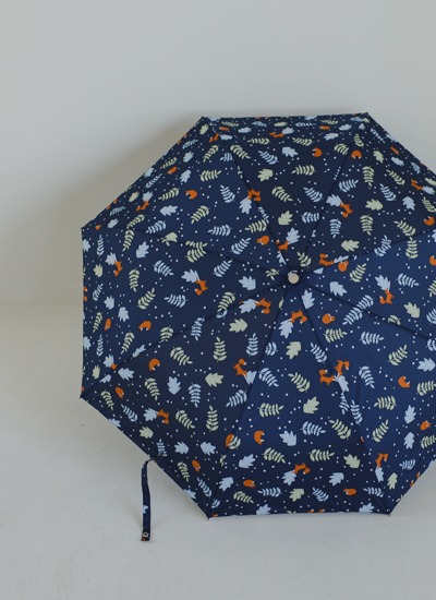 여우 우산